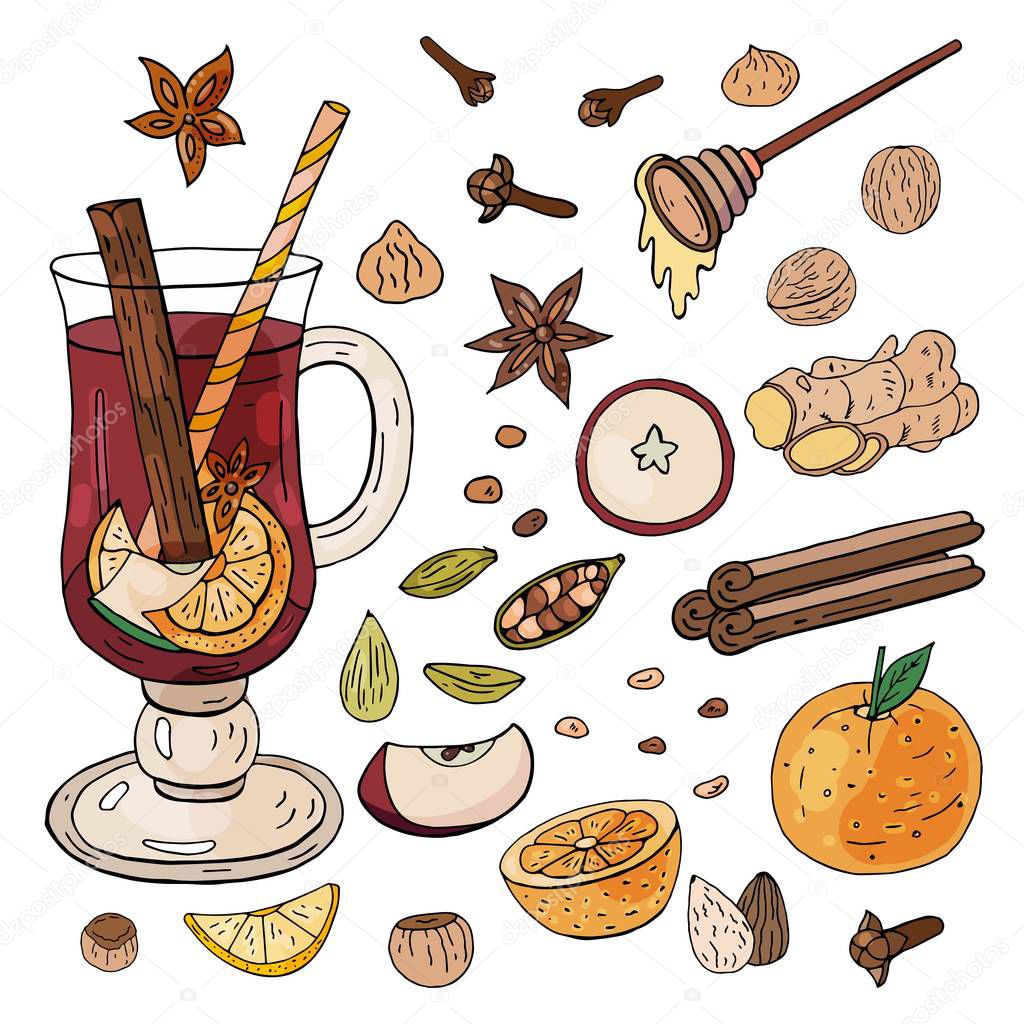 Hand-drawn mulled wine. Ingredients and spices for mulled wine on a white background. 