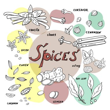 Beyaz arka plan üzerinde çizilmiş baharat vektör ver. Doodle