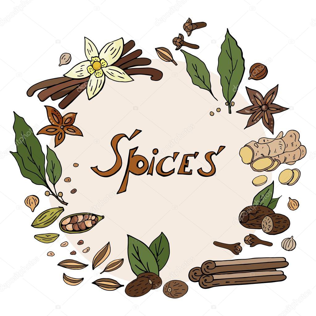 Vector hand drwan spices wreath isolated on white background