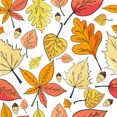beyaz zemin üzerine Dikişsiz desen sonbahar yaprakları