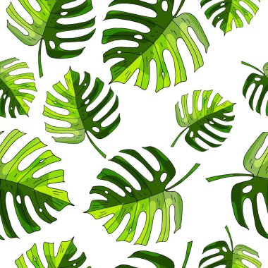 Monstera ile Seamless modeli beyaz arka plan üzerinde bırakır