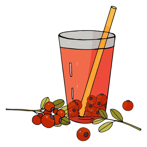 Bicchiere Disegnato Mano Succo Mirtillo Rosso Con Ramo Mirtilli Rossi — Vettoriale Stock