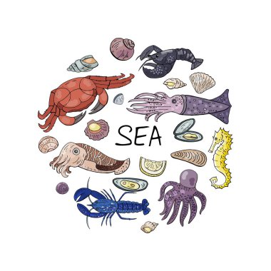 Vektör elle çizilmiş deniz ürünleri üzerine beyaz izole daire şeklinde. VEC