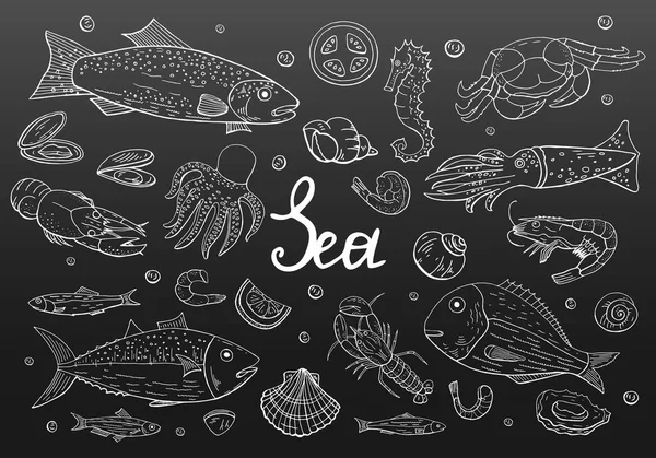 Hand drawn vintage seafood set on black backround. Vector engrav — Stock Vector