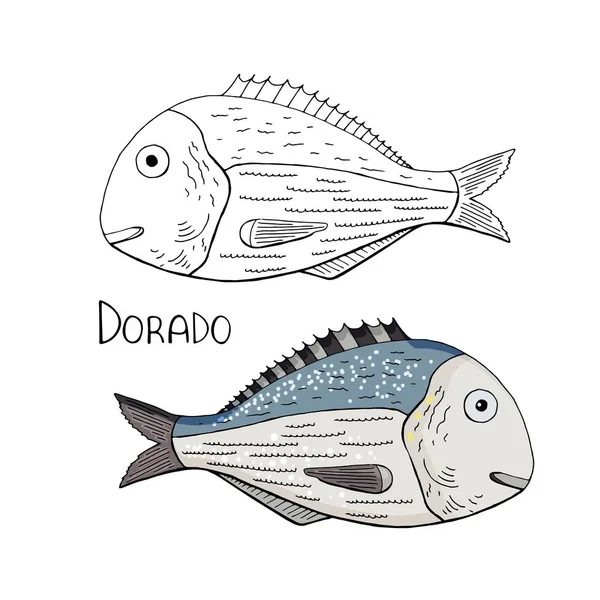 Ручной рисунок рыбы Dorado черно-белый и цвет изолирован по whi — стоковый вектор