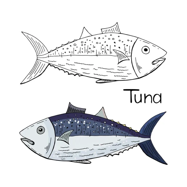 Черно-белая и цветная тунец, нарисованный вручную, выделен по цвету — стоковый вектор