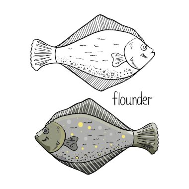 El çizilmiş pisi balığı balık siyah beyaz ve renkli olarak izole 