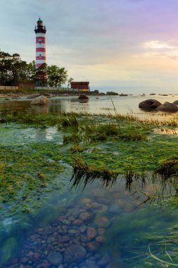 Shepelevsky deniz feneri, Leningrad region, Finlandiya Körfezi, Rusya, güzel görüntülemek gün batımı ve deniz