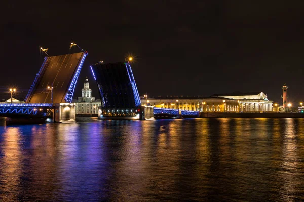 Открытие Дворцового моста в Санкт-Петербурге. Вид на Кунскамеру — стоковое фото