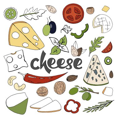 Elle çizilmiş vektör peynirler, farklı tipleri ile ayarla baharat bir