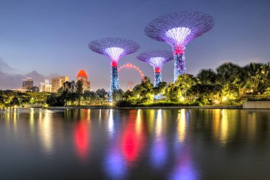 Singapur, 29 Eylül: Bay bahçeleri. Gece ışık ağaç görünümünü göster: Singapur