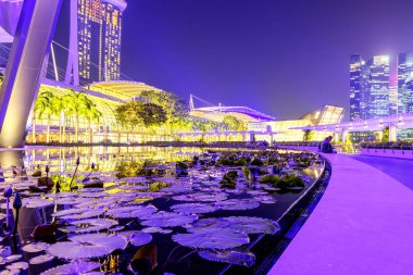 Singapur, 29 Eylül: Singapur iş bölgesinde gece görünümü