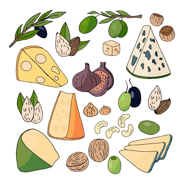 Различные сорта сыра, орехов, оливок и инжира — стоковый вектор