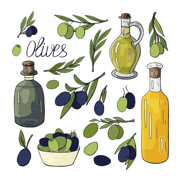Оливковое масло, оливковые ветви и оливки изолированы на белом. Доктор — стоковый вектор