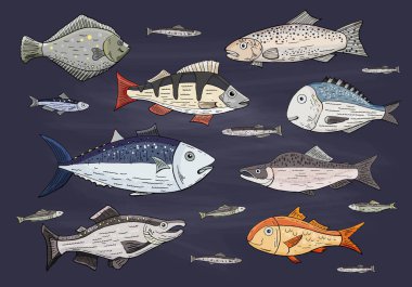 Farklı renkli Okyanus balık, yaban hayatı dizi