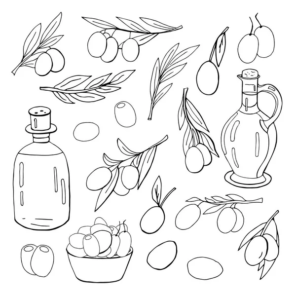 Zeytin, zeytinyağı şişeleri ve zeytin dalları