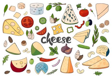 Peynir beyaz arka plan üzerinde elle çizilmiş farklı türleri kümesi. 