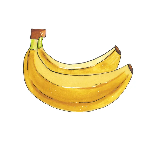 Ręcznie rysowane banan na białym tle, — Zdjęcie stockowe