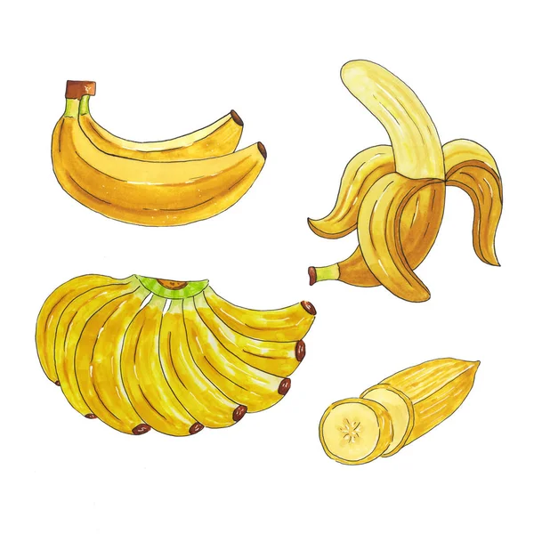 Conjunto de bananas dibujadas a mano con marcadores de acuarela aisladas sobre fondo blanco —  Fotos de Stock