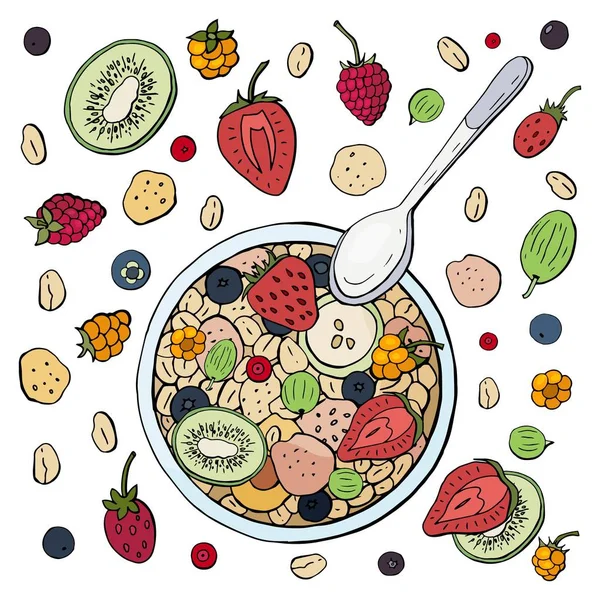 Здоровый завтрак из мюсли с фруктами и ягодами на белой тарелке. Овсянка с фруктами — стоковый вектор