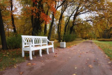 İskenderiye parkında altın sonbahar. Peterhof, Leningrad bölgesi.