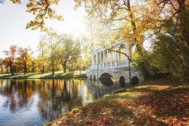 Catherine Park'ta Altın Sonbahar, Tsarskoye Selo. Puşkin şehri, Leningrad bölgesi. Mermer (Palladium) köprü.