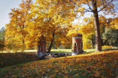 Catherine Park'ta Altın Sonbahar, Tsarskoye Selo. Puşkin şehri, Leningrad bölgesi.