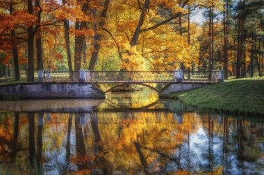 Catherine Park'ta Altın Sonbahar, Tsarskoye Selo. Puşkin şehri, Leningrad bölgesi.