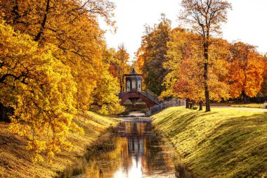 Tsarskoye Selo yakınlarındaki Alexander Park'ta altın sonbahar. Şehir