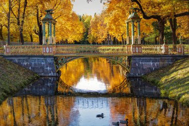 Tsarskoye Selo yakınlarındaki Alexander Park'ta altın sonbahar. Puşkin şehri, Leningrad bölgesi. Nehir üzerindeki Çin köprülerinin görünümü.