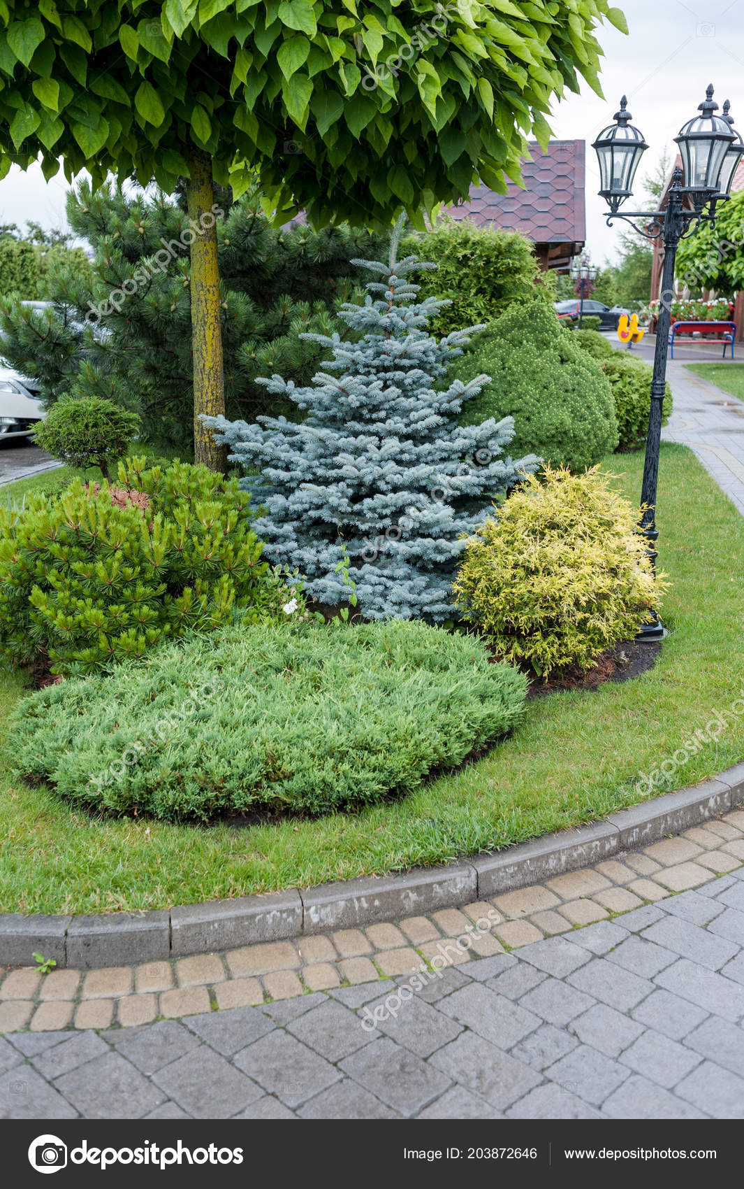 Jardines Pequeños Plantas Únicas Diseño Del Paisaje — Foto de stock