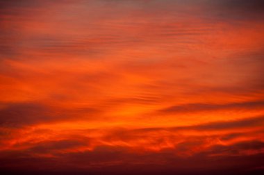 Güzel renkli yaz günbatımı