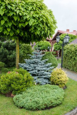 Küçük bahçeler ve benzersiz bitkiler. Peyzaj tasarımı