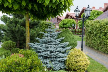 Küçük bahçeler ve benzersiz bitkiler. Peyzaj tasarımı