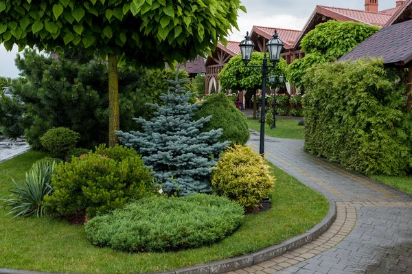 Küçük bahçeler ve benzersiz bitkiler. Peyzaj tasarımı