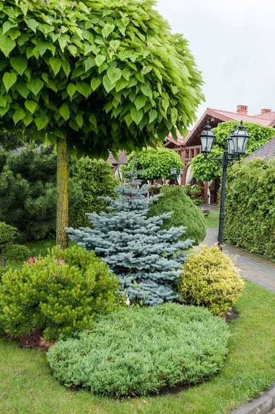 Küçük bahçeler ve benzersiz bitkiler. Peyzaj tasarımı