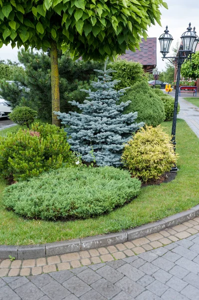 Küçük bahçeler ve benzersiz bitkiler. Peyzaj tasarımı