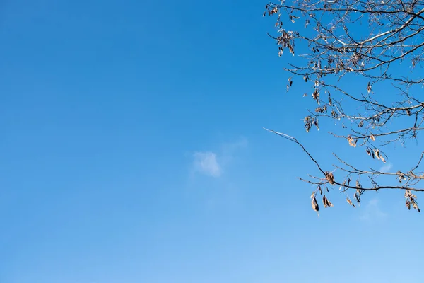 Beautiful Blue Sky Clouds — Stock Photo, Image