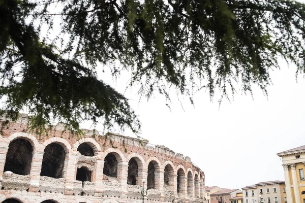 Roma Italia Ottobre 2017 Colosseo Nella Città Verona Capitale Del — Foto Stock