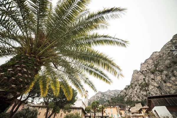 Barselona şehrinin güzel manzarası