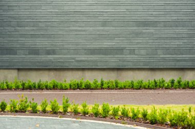 Bölge dekoratif bezemeleri. Peyzaj tasarım unsurları