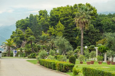 Parkın güzel manzarası