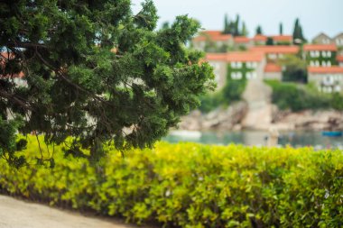 Saint Stephen Island view.