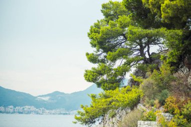 Saint Stephen Island view.