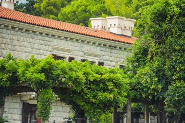 Saint Stephen Island view.