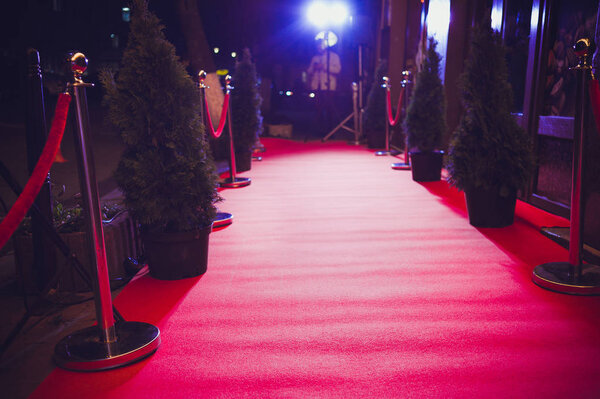 Red carpet entrance decoration