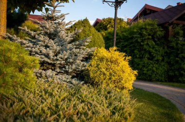 Doğanın güzel manzarası