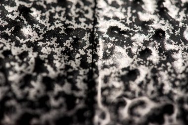 Pek çok farklı renk ve doku toz boya