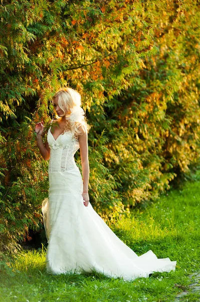 Красивая Чувственная Блондинка Невесты Свадебном Платье — стоковое фото