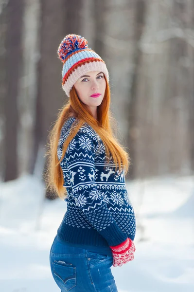 Güzel hamile kadın kış ormanında